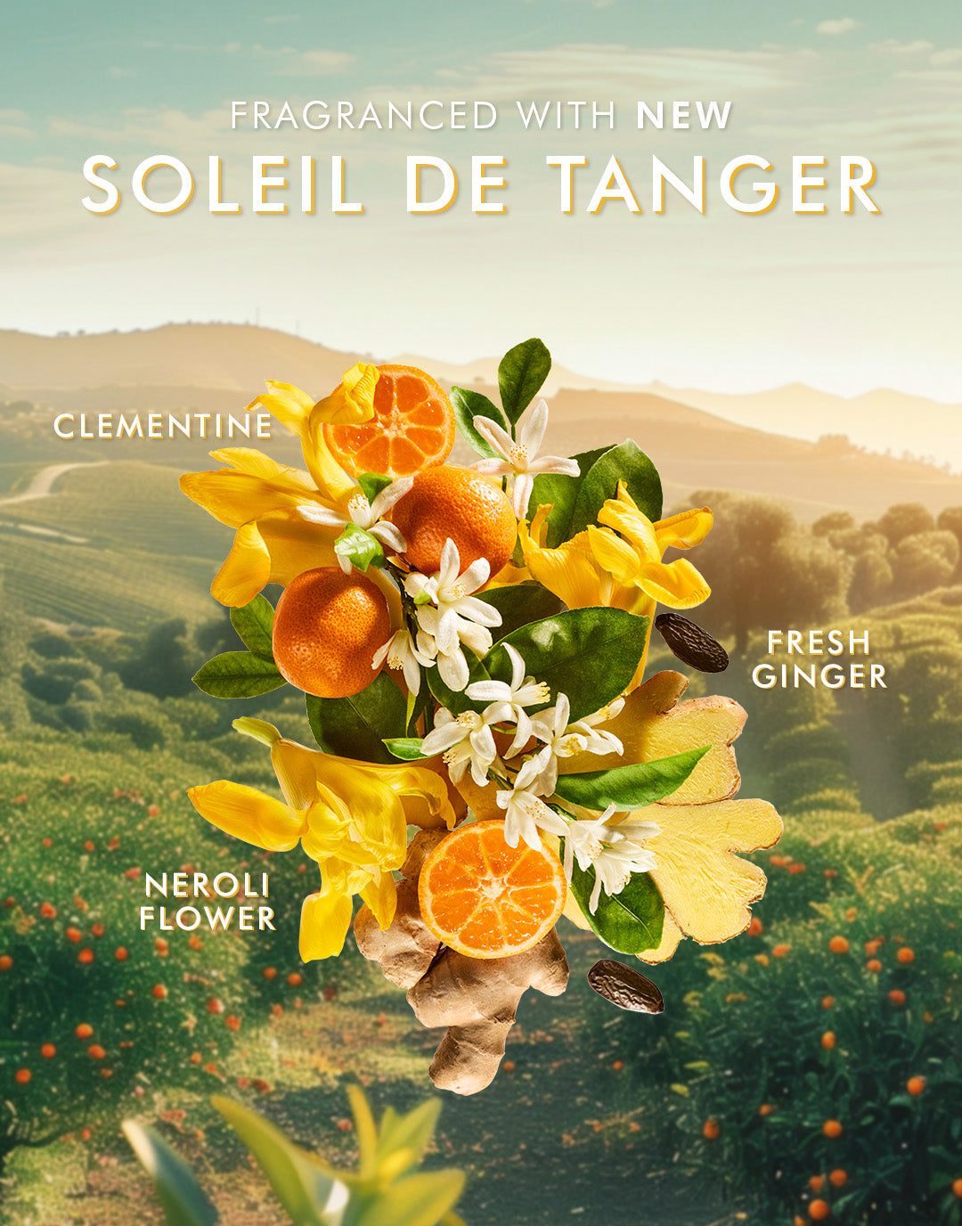 Mydło do rąk Soleil de Tanger