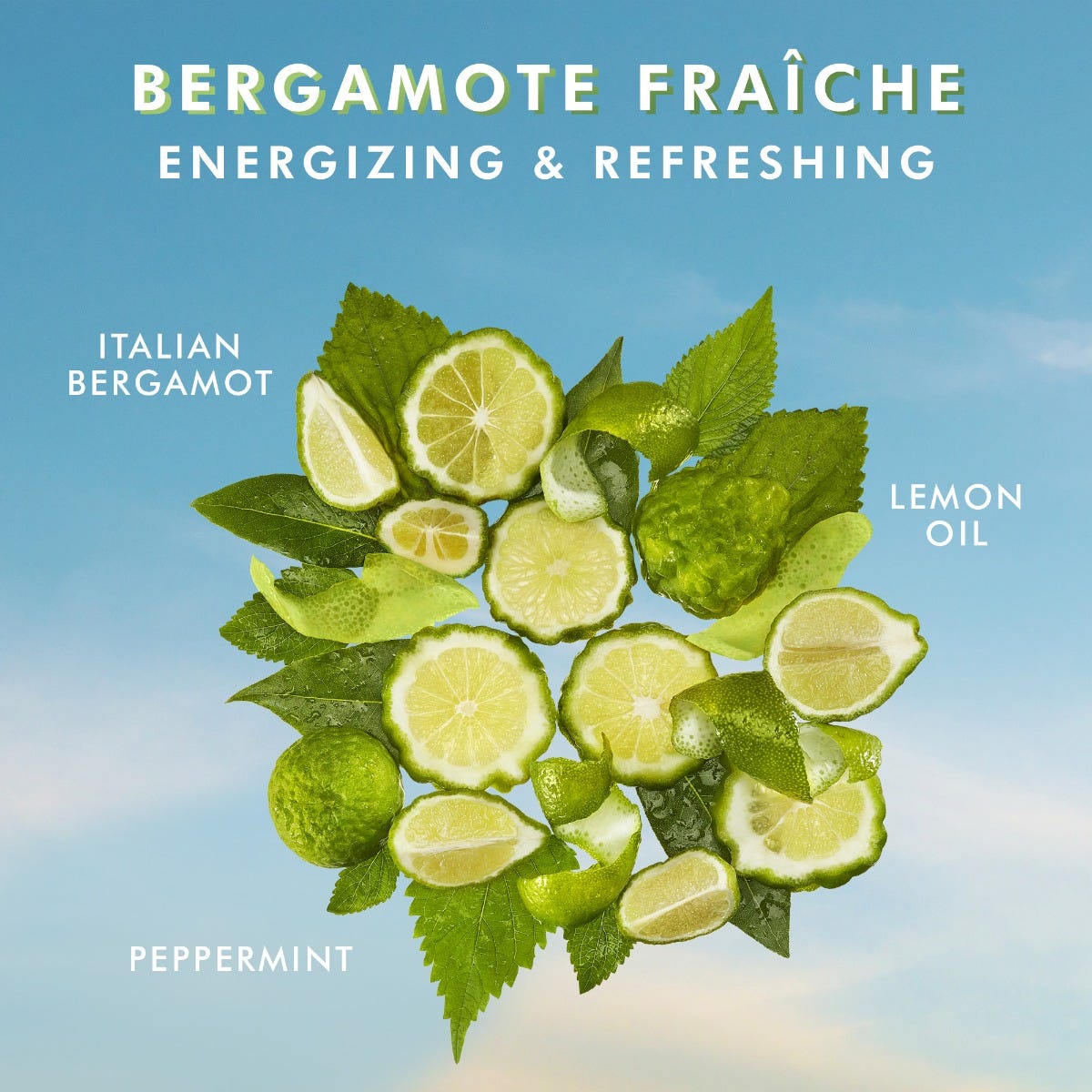 Żel pod prysznic Bergamote fraiche